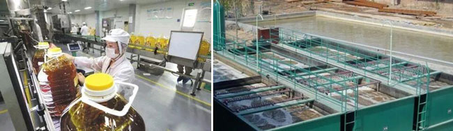 含磷廢水處理 含磷廢水處理