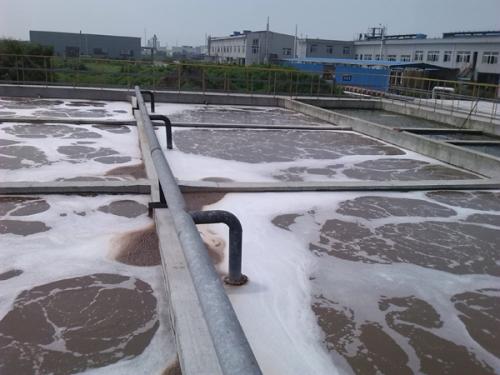 生化系統(tǒng)浮渣jpg 生化系統(tǒng)浮渣jpg